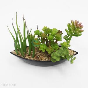 Beautiful Ceramics Ship Shaped Pot Wholesale Artificial/Simulation Potted Plant