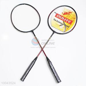 2pcs Professional Training <em>Badminton</em> Rackets Set