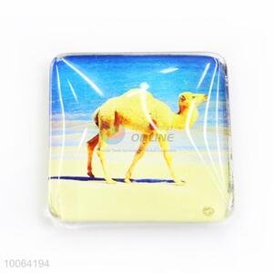 Beautiful Beach scenery Fridge Magnet