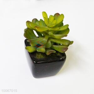 Mini Artificial Bonsai Flower Pots for Office