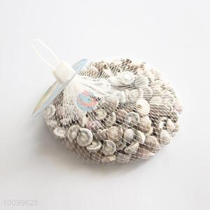 Wholesale longan screw/shell crafts