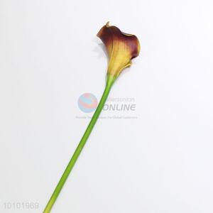 Hot sale medium-sized callalily