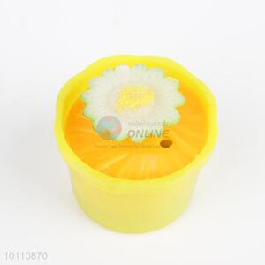 Cute growing flower/growing pet foe kids