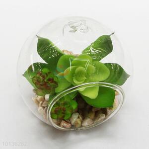 Succulent Plants <em>Plastic</em> <em>Flowerpot</em> Seeding Pot Gardener