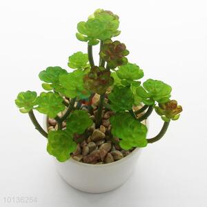 New Small white Porcelain Plastic Succulent Plant Ornamental Plants