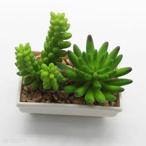 Vivid Artificial succulents Plants Plastic Plants for Home Decoration