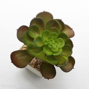 Small white Porcelain Plastic Succulent Plant Bonsai