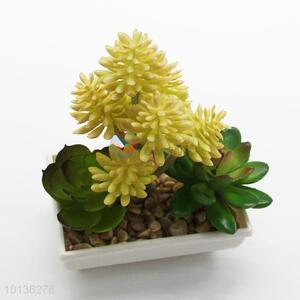 High Quality Realistic Artificial Succulent Plants