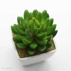 High Quality Ornamental Plants Artificial Succulent Plant