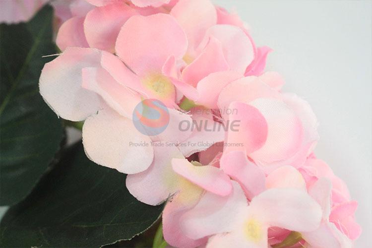 Superior Quality pink big-leaf hydrangea