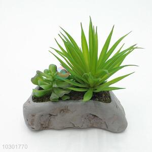 Popular promotional simulation succulent plants