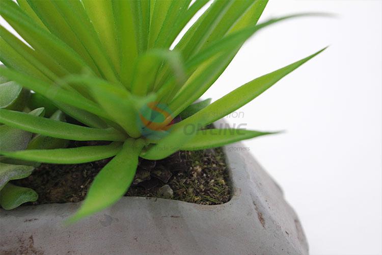 Popular promotional simulation succulent plants