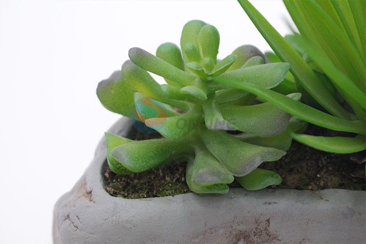 Popular promotional simulation succulent plants