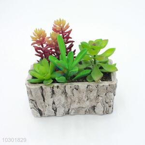 Best selling simulation succulent plants