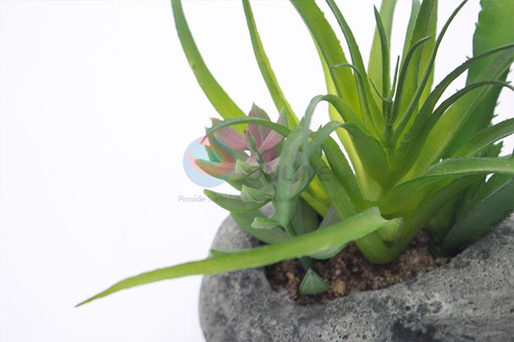 Superfine Plastic Succulent Plant Ornamental Plants