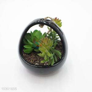 Modern Design Suspensible Artificial Succulent Plants Home Decoration