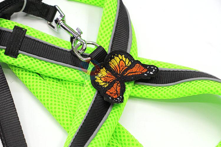 Factory Supply Pet Leash for Sale