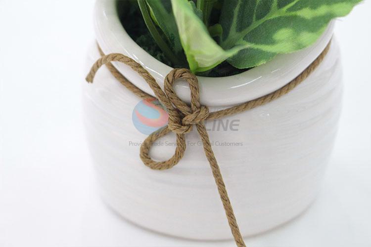 Promotional Artificial Green Plant for Home Decoration