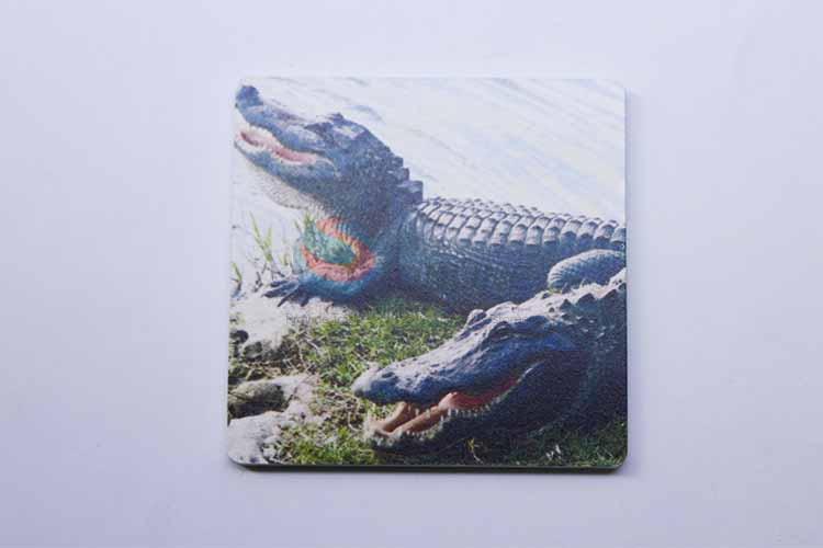 Crocodile Pattern Square Cup Mat/Cup Coaster