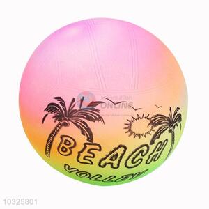 Wholesale cheap new school training volleyball