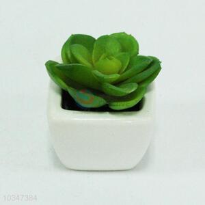 Artificial Plants Potted Artificial Succulent Plants