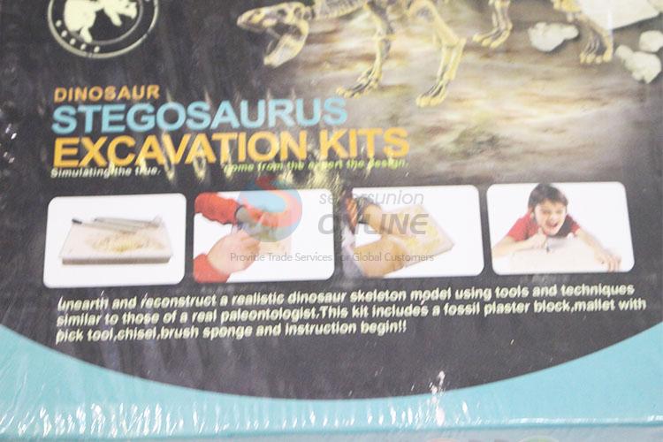 Wholesale Supplies Stegosaurus Excavation Kits for Sale