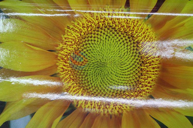 Popular promotional sunflower pattern placemat