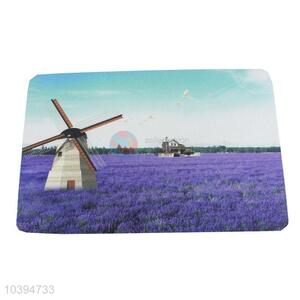 Most Popular Windmill Printed Pvc Bottom Door Mat