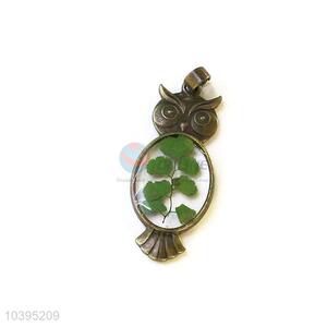 Best Selling Owl Shape Pendant With Real Plant