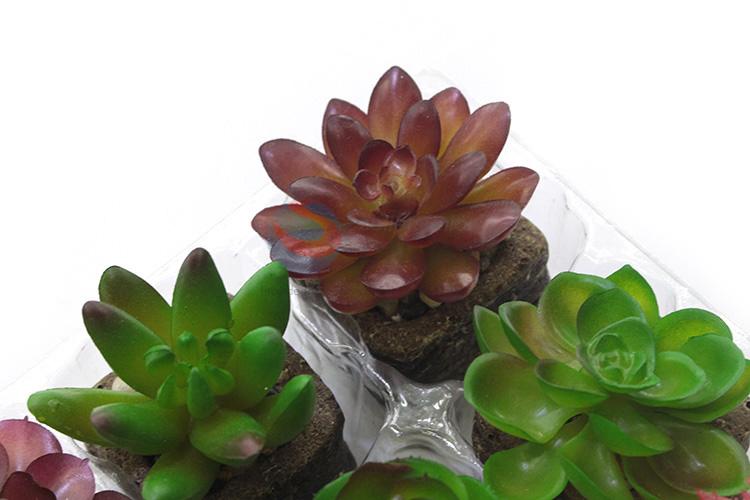 Low price new arrival artificial succulent plant