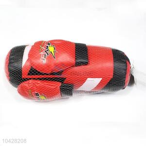 Boxing Training Set with Gloves