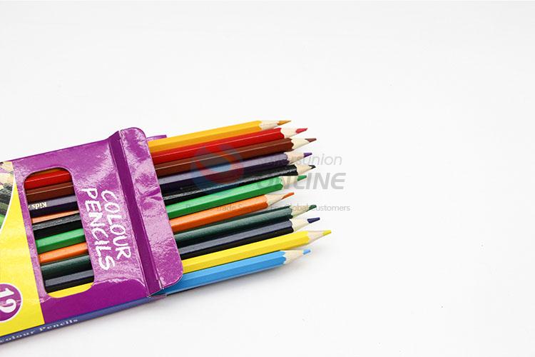 Reasonable Price 12pcs Drawing Set Colored Pencils Water Color Pencils