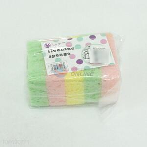 5PC Cleaning Sponge/Scouring Pad