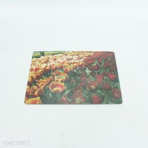 Factory price woodern placemat,29*21.5cm