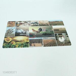 Best selling printing pp placemat