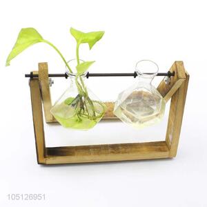 Factory Wholesale Desk Decoration Water Plant Bottle Flower Vase Ornaments