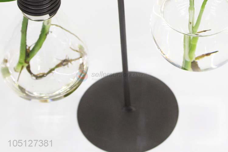 Nice Design Hydroponic Glass Container Home Decor Ornament