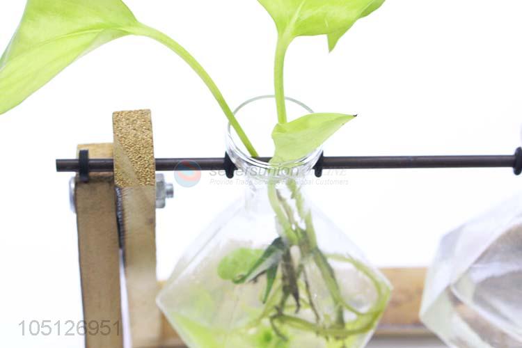 Factory Wholesale Desk Decoration Water Plant Bottle Flower Vase Ornaments