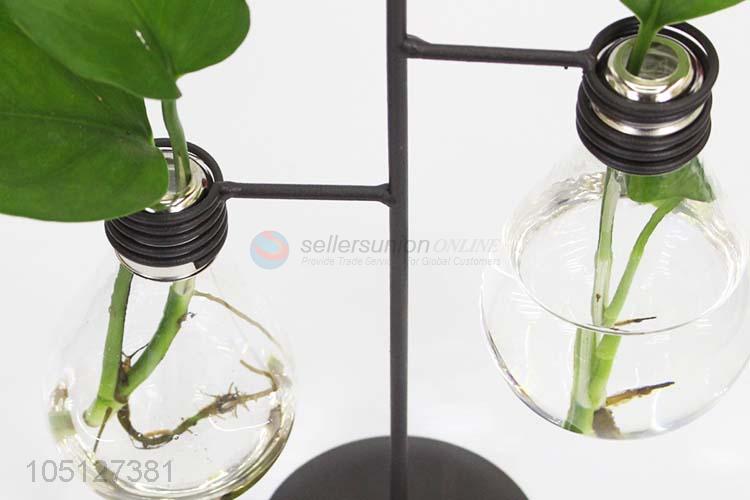 Nice Design Hydroponic Glass Container Home Decor Ornament