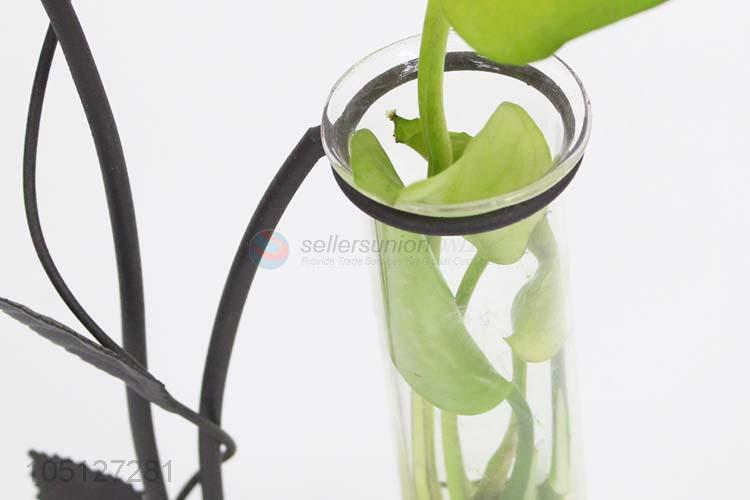 Bottom Prices Glass Bottle Iron Hydroponics for Home Decor