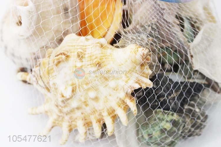 Fashion Decoration Best Shell/Conch Crafts Set