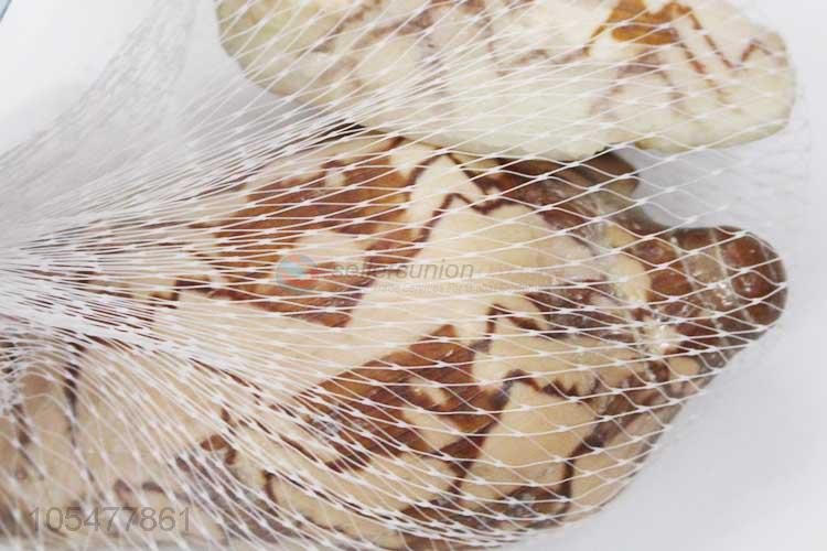 Unique Design Natural Sea Shell Set Best Decoration