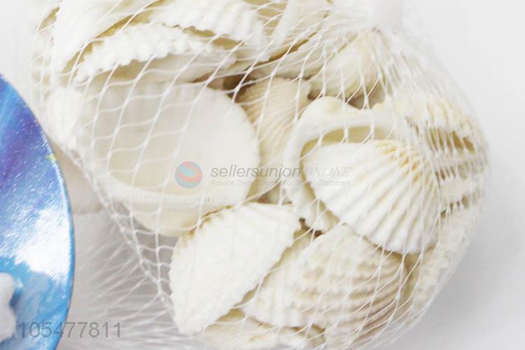 High Quality Natural Sea Shell Best Conch Crafts