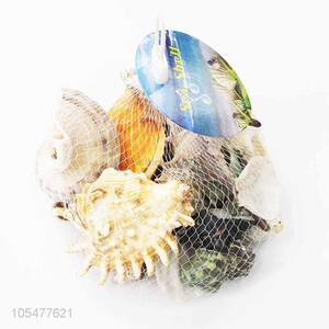 Fashion Decoration Best <em>Shell</em>/Conch <em>Crafts</em> Set