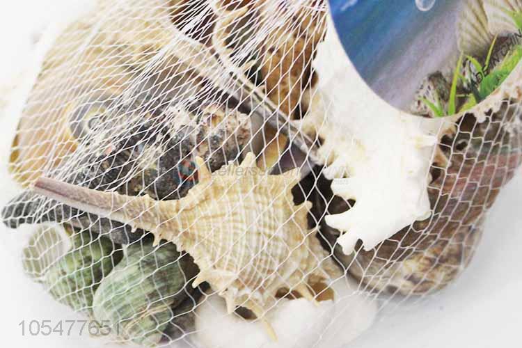 Top Quality Sea Shell Fashion Shell/Conch Crafts