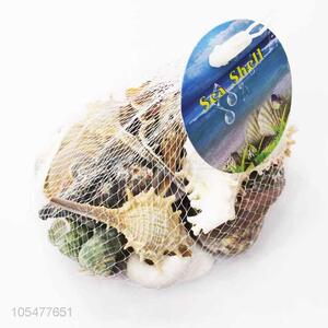 Top Quality Sea <em>Shell</em> Fashion <em>Shell</em>/Conch <em>Crafts</em>