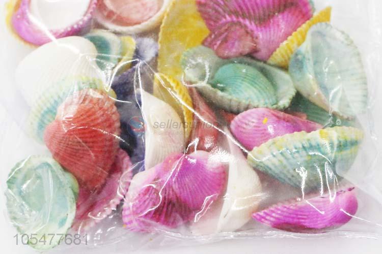 New Design Colorful Ocean Shell Best Craft Set