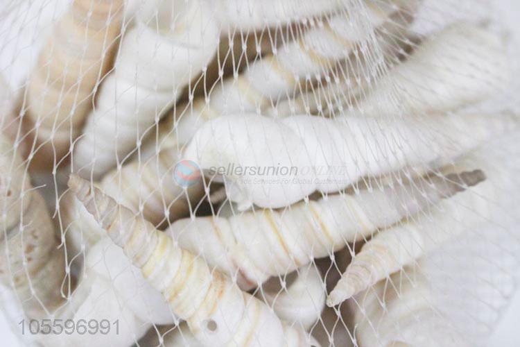 Hot Selling Natural Shell Best Craft Gift