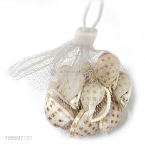 Fashion Natural Conch Best Decorative Shell Craft