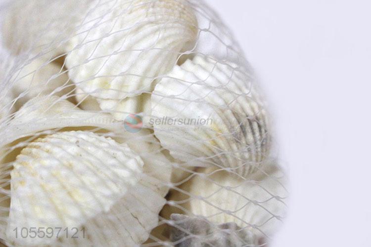 Latest Natural Shell Popular Decorative Shell Craft